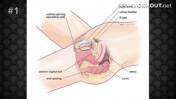 Сексуальное образование для мальчиков