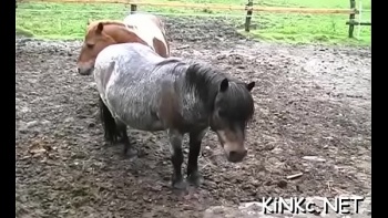 БДСМ женский видео смотреть