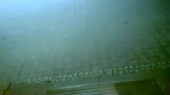 Порно фильм про трансвеститов