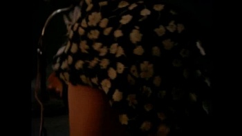 Чем с целкой невидимкой